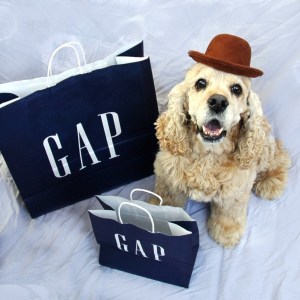 Gus shopping