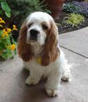 ???????????????????????????????