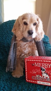 Baxter update photos 1