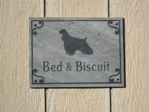 Bed & Biscuit – We Need Your&nbsp;Help!