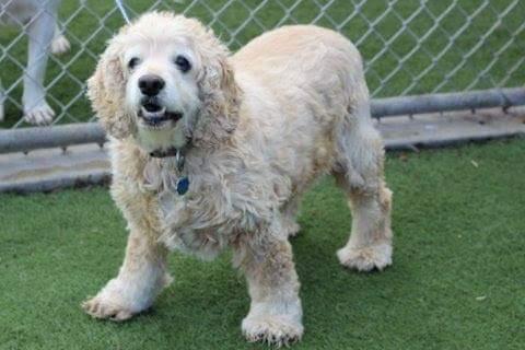 FB_IMG_1452220779930