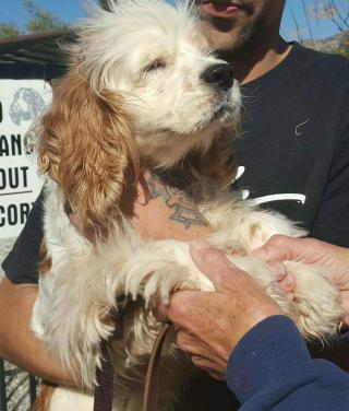 PART_1455936383174_20160219_140146-1