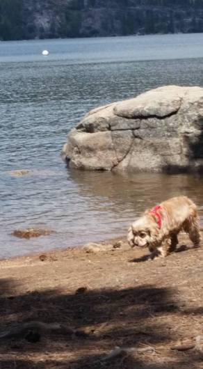 13221102_1416985448327124_6460055751374454211_n