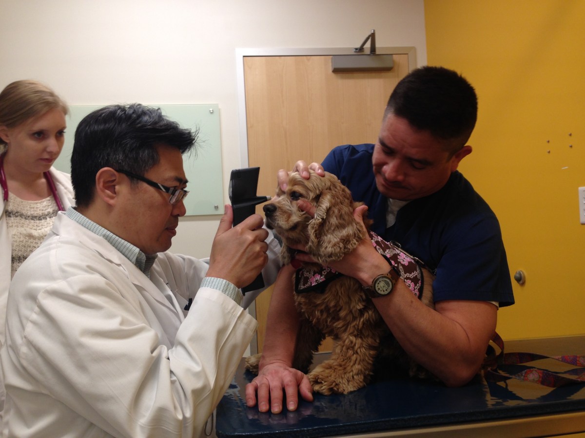 Update on Athena Who’s Hoping to See&nbsp;Again