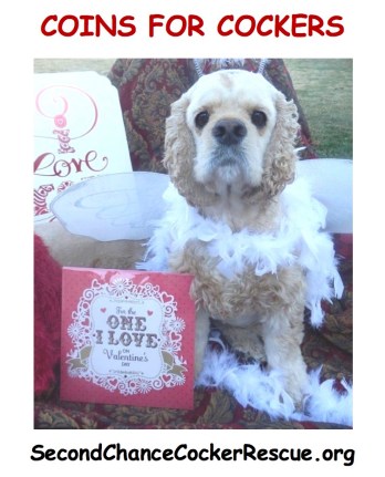 coins-for-cockers