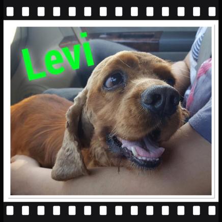 18278906_1901488493210148_3572989019838625323_o