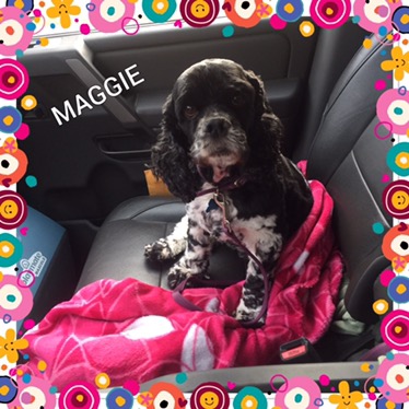Maggie’s Second Chance