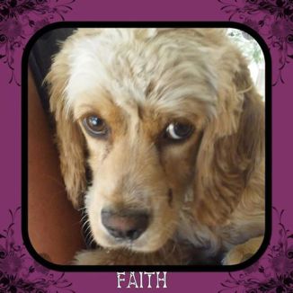 20431401_2031219783570351_5231062124925752451_n