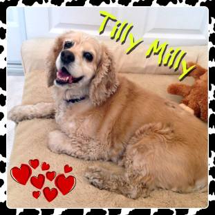 22095914_2118725431486452_6569970546294865700_o