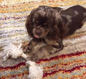 22195775_2123114534380875_5065202669031897587_n