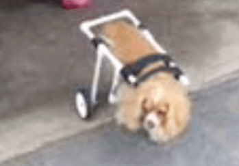 Screen Shot 2018-03-20 at 10.20.01 PM