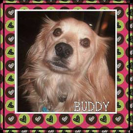 36477797_2560488387310152_9001248783710814208_n