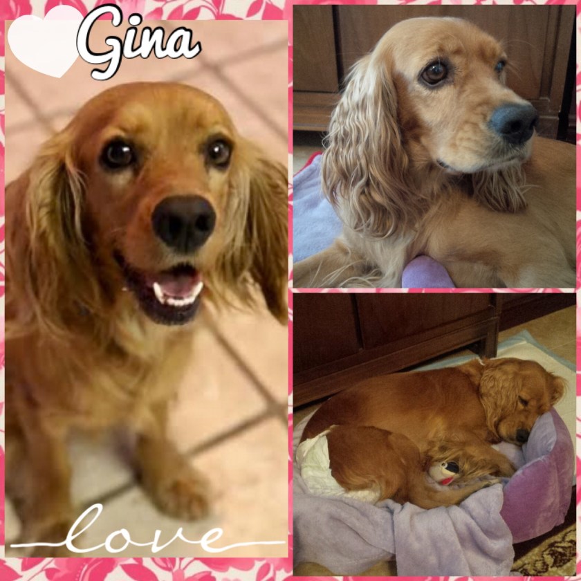 IMG_7095