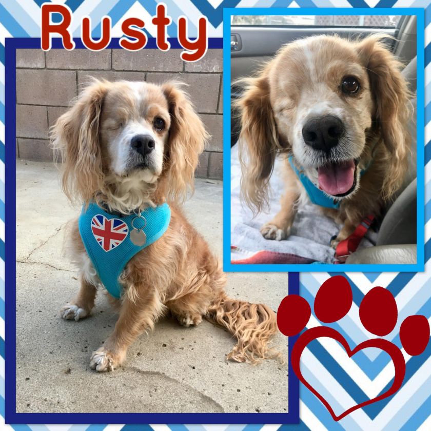 Rusty