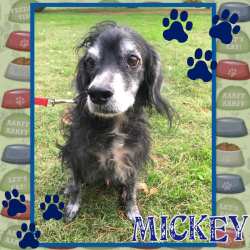 46810996_2886823208010000_6918900874555162624_n