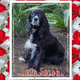 47368694_2907784702580517_9029009300533542912_n