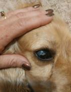 201901229518003595hdr