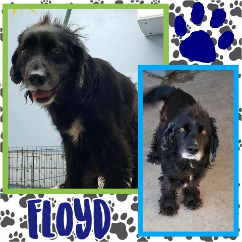 84403D83-8F02-4CE7-8229-E589C6B8A4D2