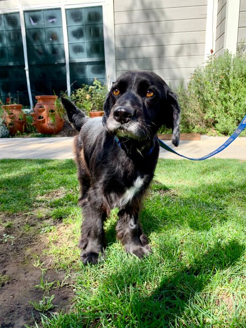 F20E3502-ED0B-482C-9C6E-F231AFFA7F18