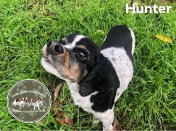 53245241_3117178638307788_7946006105409191936_n