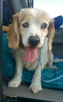 59106057_3241572775868373_1337019299155410944_n