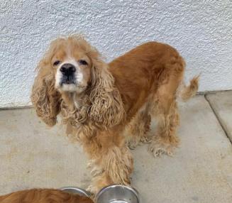 61663408_3333059060053077_3680981341416980480_n