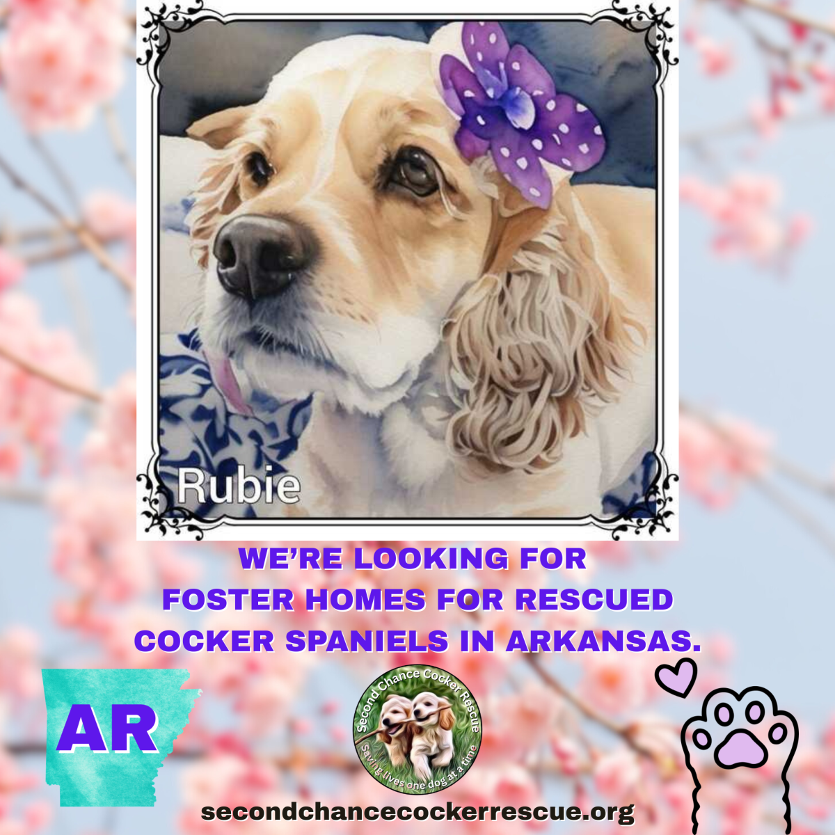 LOOKING FOR FOSTER FAMILIES IN&nbsp;ARKANSAS
