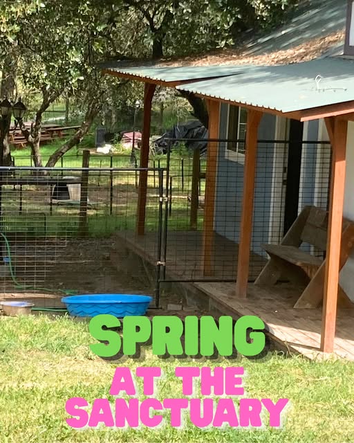 Spring has arrived at the&nbsp;sanctuary!